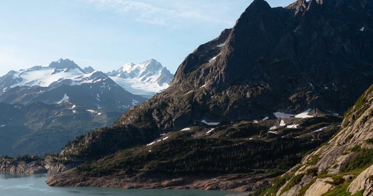 A small tent pitched on open alpine ground above the forest.